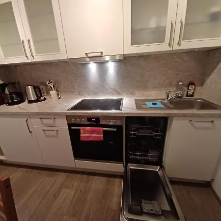 Grosse Stadtwohnung Mit Balkon * Zwickau